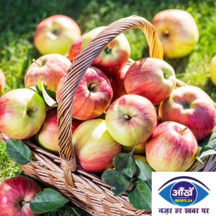 रोजाना एक सेब खाने से होते हैं सेहत को कई सारे लाभ