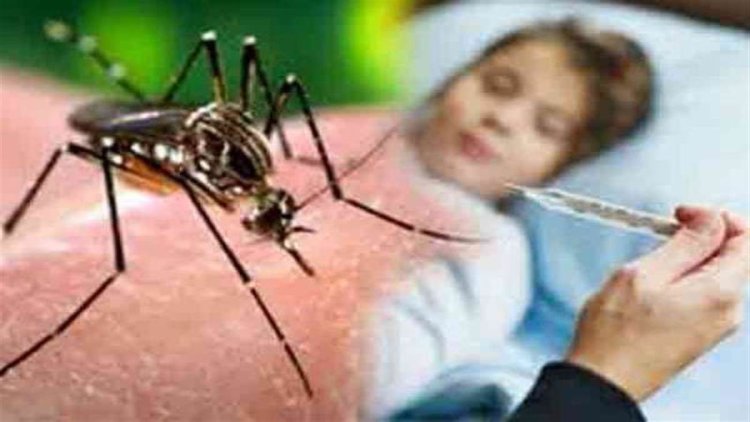 राजधानी पटना में इन दिनों डेंगू का कहर बरपा रहा,  सभी जिलों में डेंगू का अलर्ट कर दिया गया ...