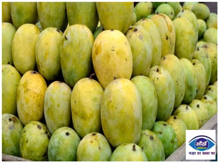 Mango Benefits: गर्मियों में जमकर खाएं आम, ये बीमारियां रहेंगी दूर