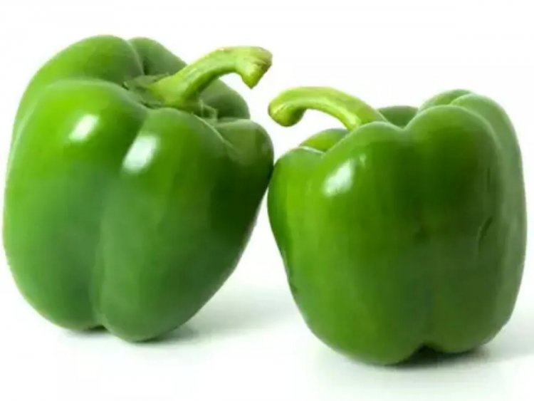 Green Capsicum Benefits: हरी शिमला मिर्च खाने के अद्भुत फायदे