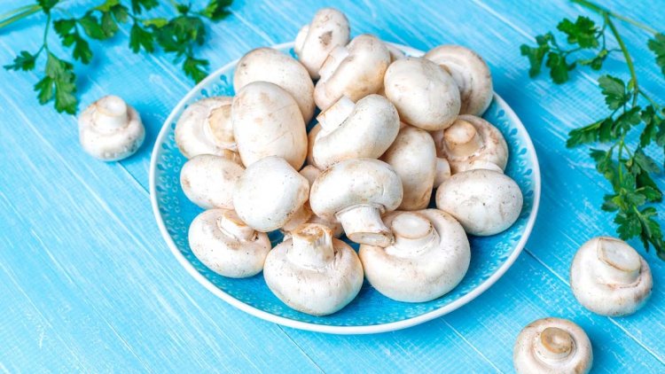 Mushrooms : जानिए मशरूम खाने के क्या क्या है फायदे