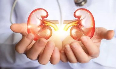 किडनी जांच अभियान जल्द होंगे स्कूलों से शुरु