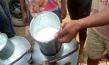 बिहार में बाढ़ ने बढ़ा दी दूध की किल्लत, 20 फीसदी तक घटा उत्पादन