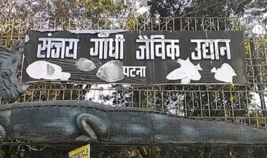 कोरोना के बाद आम जिंदगी की तरफ बढ़े लोग, सार्वजनिक स्थलों पर बढ़ी रौनक