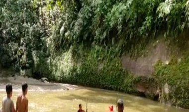 वाल्मीकि टाईगर रिजर्व में सर्च अभियान के दौरान नदी में बहा SSB का जवान