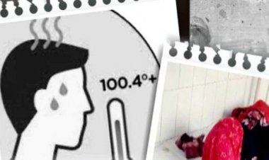 बिहार: बच्चों में वायरल बुखार ने बढ़ाई सरकार की चिंता, मंगल पांडेय बोले-सतर्क है विभाग