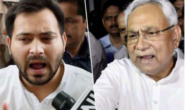 जदयू ने तेजस्‍वी यादव को कहा साइबेरियन पक्षी, पार्टी बोली- चुनाव खत्‍म होते ही लौट गए अपने घर