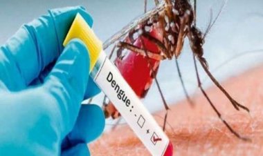 इंदौर में बढ़ता ही जा रहा है डेंगू मरीजों का आंकड़ा: 21 नए मरीजों के बाद संक्रमितों की संख्‍या 1000 के पार