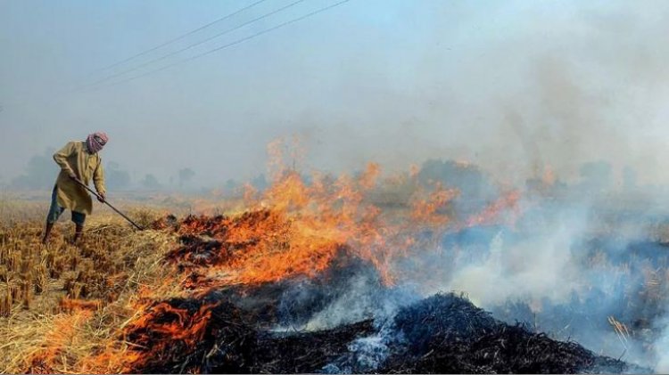 प्रदूषण कम करने के लिए 'वर्क फ्रॉम होम' होगा लागू ? गोपाल राय ने कही ये बात