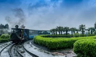 न्यू ईयर के जश्‍न के लिए पर्यटक स्‍थल मसूरी और धनोल्टी तैयार