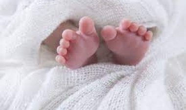 राजगढ़ में बिटिया के जन्म पर परिवार ने मनाया शानदार जश्न, दुल्हन की तरह सजाया गांव