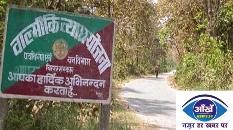 बाल्मीकि नगर में टाइगर को देखना चाहते हैं तो करें ये काम