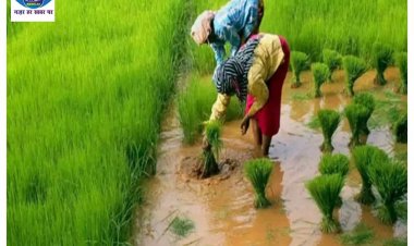 मौसम विभाग ने कहा इस तारीख से होगी बिहार में बारिश, किसान कर सकते हैं रोपनी