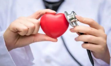 विश्व हृदय दिवस : हृदय है सबसे नाजुक हिस्सा, हमें रखना हैं खास ख्याल,  आये जानते है खास  महत्व...