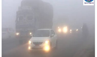 Weather News: पहले बारिश और अब कोहरा, आखिर क्या है मौसम का इशारा?