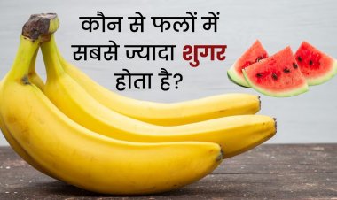 इन 5 फलों में होता है बहुत ज्यादा शुगर, डायबिटीज के मरीजों को नहीं खाना चाहिए इन्हें