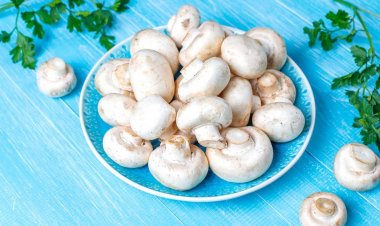 Mushrooms : जानिए मशरूम खाने के क्या क्या है फायदे