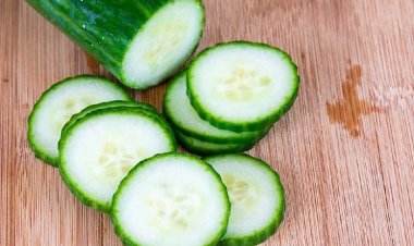 Health Tips: सेहत के लिए फायदेमंद है खीरा, पर इससे होने वाले साइड-इफेक्ट्स से कहीं अनजान तो नहीं हैं आप?