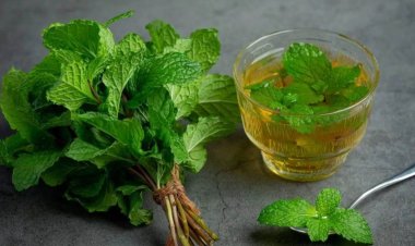 गर्मियों में पुदीना के पत्ते हैं कई समस्याओं का समाधान, जानें इसे घर में कैसे उगाएं