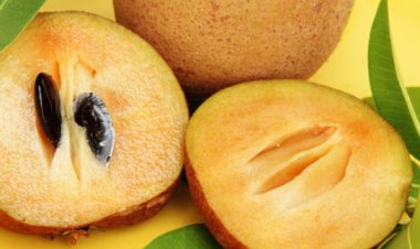 Chiku Benefits: चीकू खाने के 6 जबरदस्‍त फायदे! जानकर हो जायेंगे हैरान 