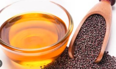 Mustard Seeds Benefits: सेहत ही नहीं स्किन के लिए भी गुणकारी हैं सरसों के बीज, जानें क्या हैं इसके अन्य फायदे