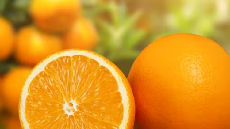 अगर आप रोज 1 संतरा खाते हैं तो इन बीमारियों से होगा बचाव, शरीर को मिलेगा ये जरूरी विटामिन
