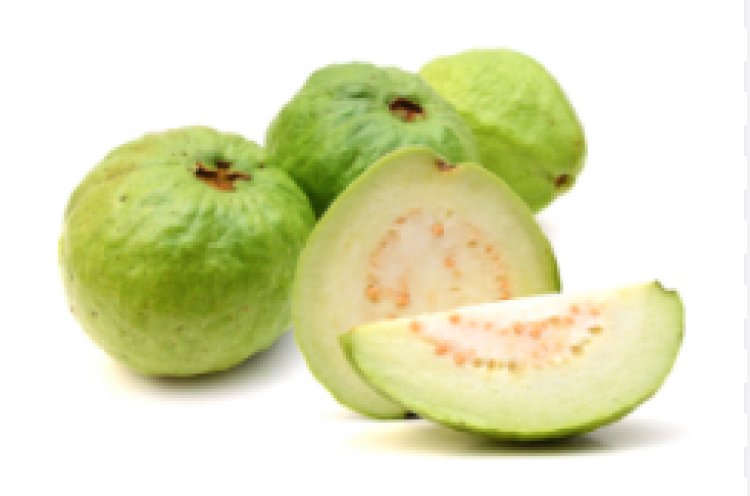 Guava Benefits: रोज खाएंगे अमरूद, तो हार्ट रहेगा हेल्दी, कोसों दूर रहेंगी ये गंभीर बीमारियां