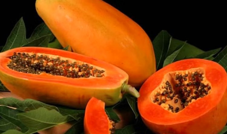 Papaya Benefits And Side Effects: पपीते खाने के फायदे और नुकसान, जानें