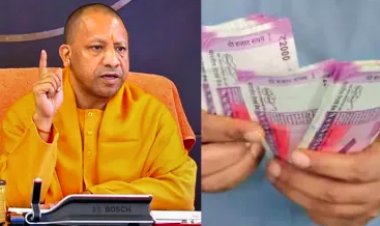 यूपी के इन 2.50 लाख कर्मचारियों नहीं मिलेगा वेतन, योगी सरकार ने लिया बड़ा फैसला