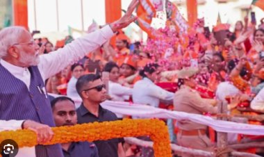 Haryana Election: बीजेपी ने जारी की स्टार प्रचारकों की लिस्ट, PM मोदी, बबीता फोगाट समेत ये नेता करेंगे ताबड़तोड़ रैलियां