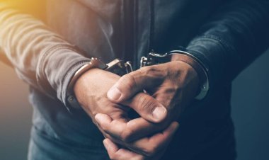 पंजाब में आर्म्स स्मगलिंग मॉड्यूल का पर्दाफाश, एक तस्कर गिरफ्तार