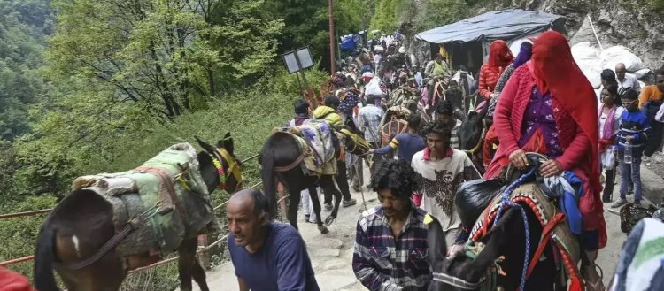 केदारनाथ यात्रा: बीमार घोड़े-खच्चरों को 50% सब्सिडी पर मिलेगा चारा