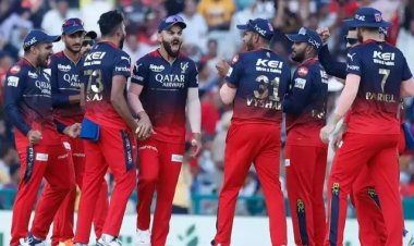 IPL 2025 फाइनल: क्या RCB का सपना होगा पूरा? डेविड वार्नर की भविष्यवाणी ने बढ़ाया सस्पेंस!