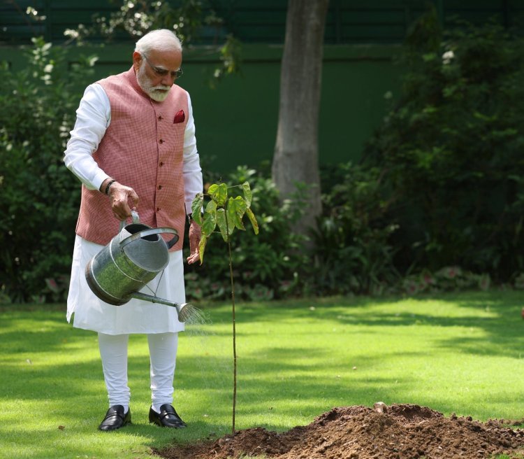 विश्व पर्यावरण दिवस: पीएम मोदी ने लगाया ‘सिंदूर’ का पौधा, 1971 की बहादुर महिलाओं को किया याद