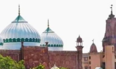 मथुरा श्रीकृष्ण जन्मभूमि मामला: हाईकोर्ट ने ईदगाह को विवादित ढांचा मानने से किया इनकार, हिंदू पक्ष को झटका