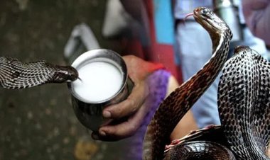 Nag Panchami 2025: कालसर्प दोष से छुटकारे का सुनहरा अवसर, जानें पूजा का सही समय और उपाय