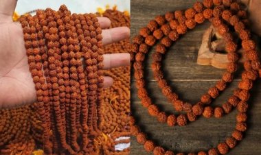 रुद्राक्ष पहनने के नियम और फायदे: शिव कृपा पाने का पवित्र मार्ग