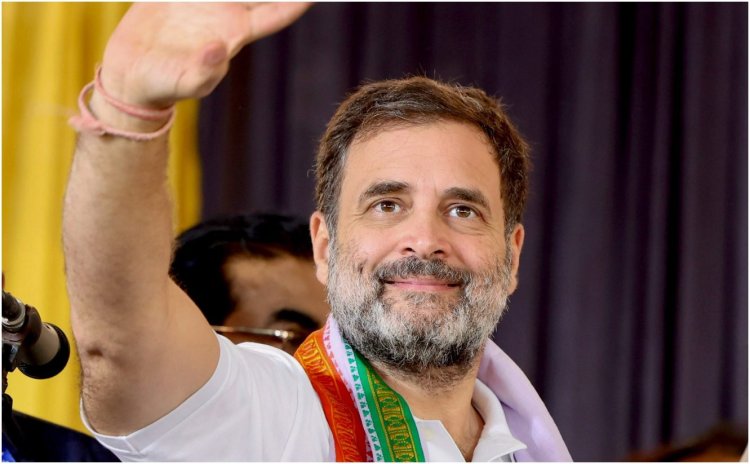 क्या आप जानते हैं? संसद में राहुल गांधी को मिलती है इतनी सैलरी और VIP जिंदगी, पढ़ाई भी कम दिलचस्प नहीं!
