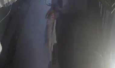 दिल्ली में दिनदहाड़े महिला पर हमला, गला दबाकर सोने की चेन और झुमके लूटे; CCTV में कैद पूरी वारदात