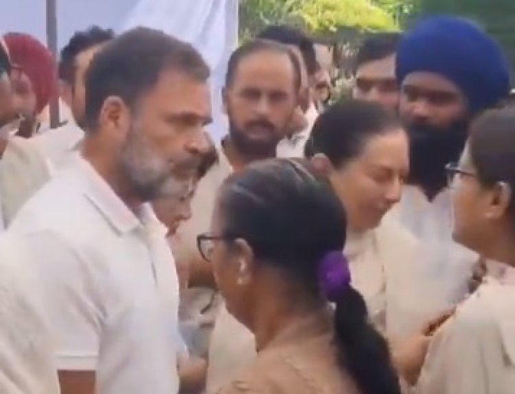 8 दिन से PGI में रखी है IPS पूरन कुमार की बॉडी, राहुल गांधी पहुंचे चंडीगढ़; परिजनों से मिलकर जताया दुख