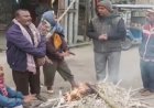 पटना में कड़कड़ाती ठंड का कहर, स्कूल बंद; शीतलहर से जनजीवन बेहाल