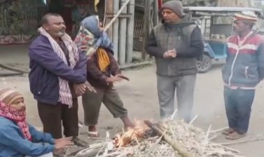 पटना में कड़कड़ाती ठंड का कहर, स्कूल बंद; शीतलहर से जनजीवन बेहाल