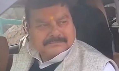 बिहार चुनाव हार की खीझ! आरजेडी सांसद सुरेंद्र यादव का विवादित बयान, VIDEO वायरल